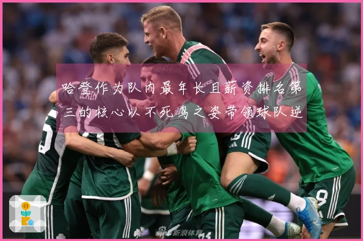 哈登作为队内最年长且薪资排名第三的核心以不死鸟之姿带领球队逆转天王山战局